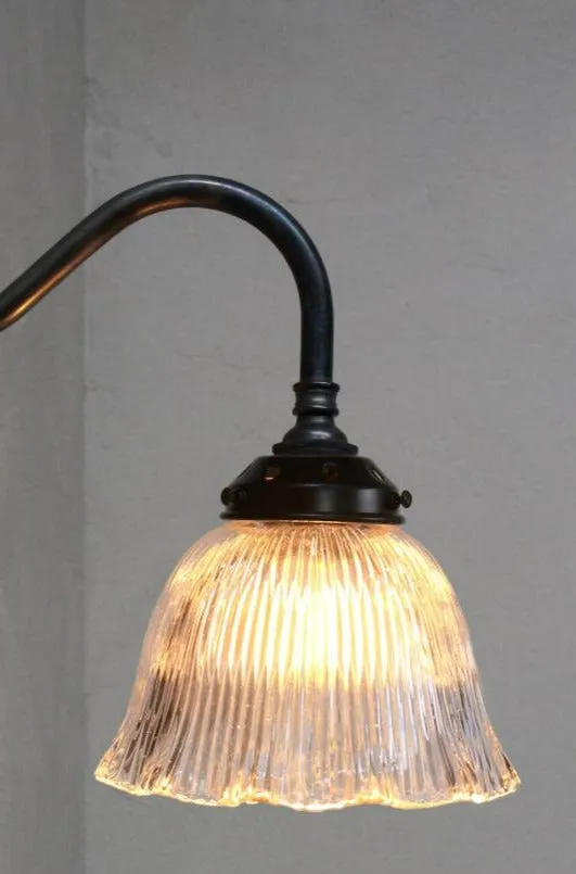 Como Glass Gooseneck Chandelier
