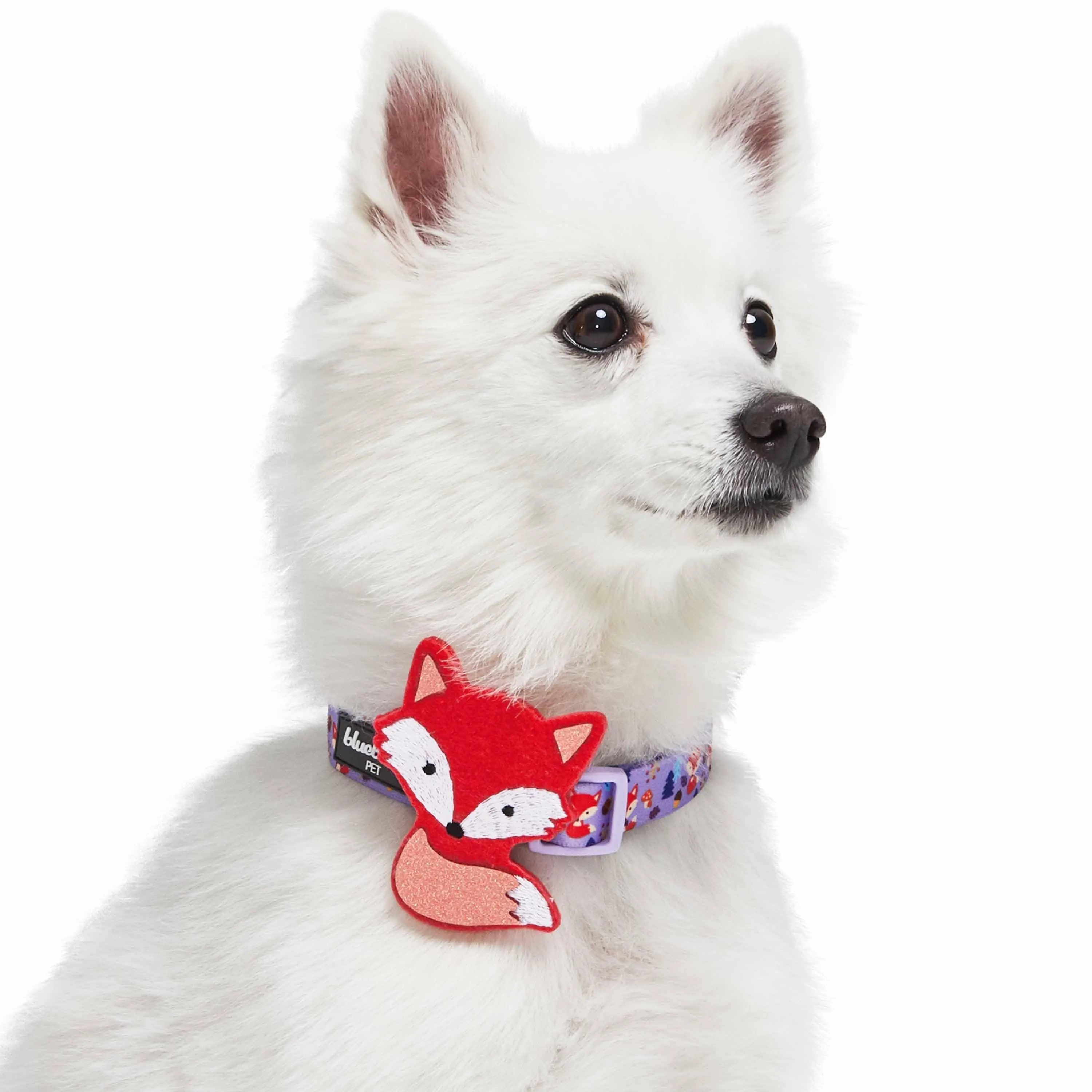 Forest Fun Dog Collar