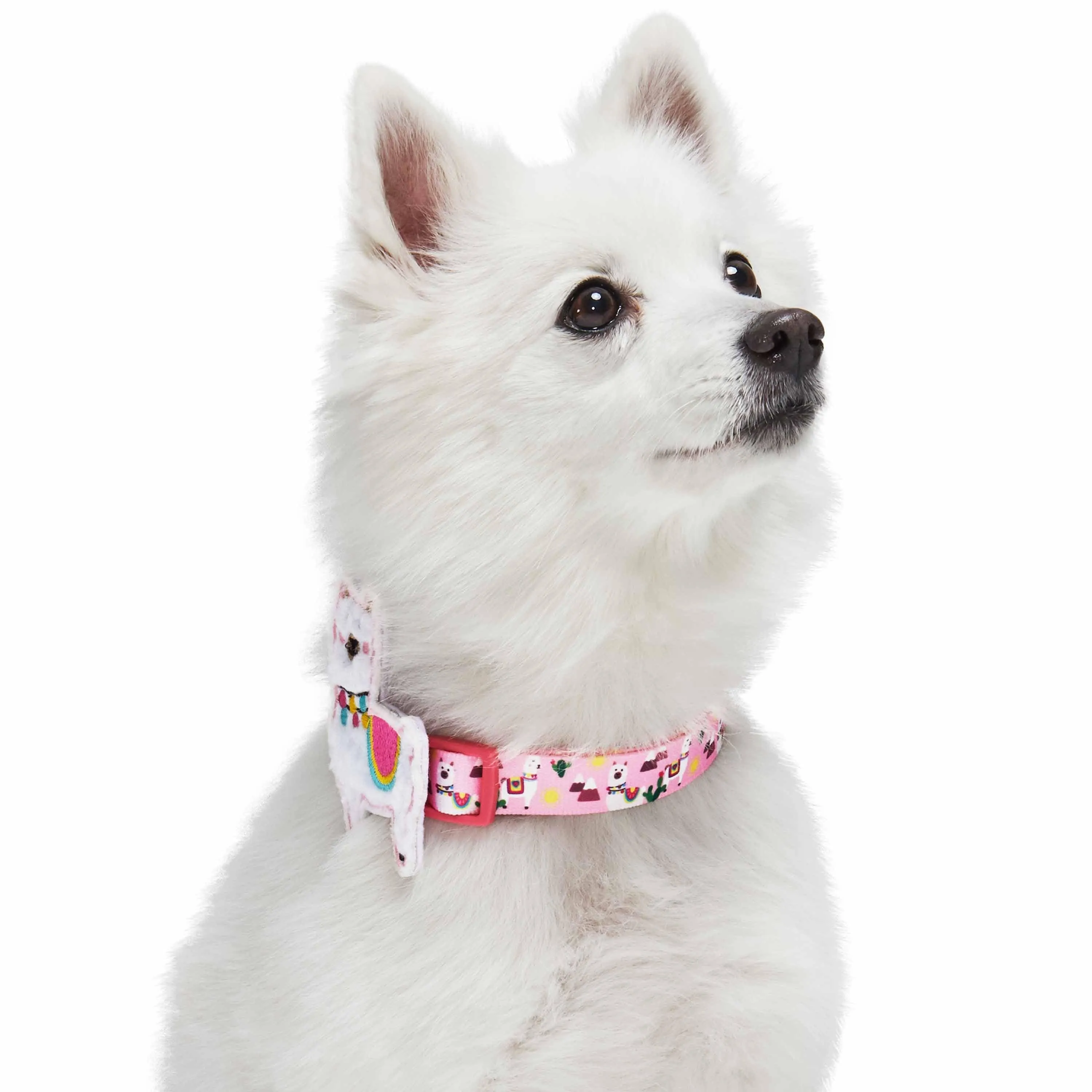Forest Fun Dog Collar