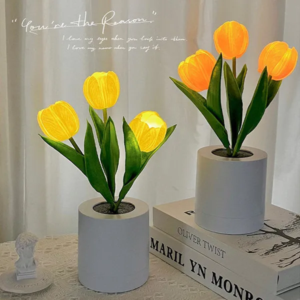 Tulip Table Lamp - Pink - White